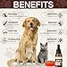 SUXHDRPURE Organic Hemp Oil for Dogs and Cats - Helps with Pain Anxiety Sleep Arthritis Seizures Stress Relief - Hip Joint Support - Pet Hemp Oil Drops Calming Treats 1-Pack