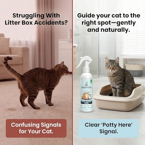 Image of Pawsitive Start Potty Training Spray for Cats | Dual-Action Litter Attractant & Scent Reset Formula | Natural Bio-Scent Aid for Kittens & Senior Cats | Fast-Drying, Non-Staining | 200ml