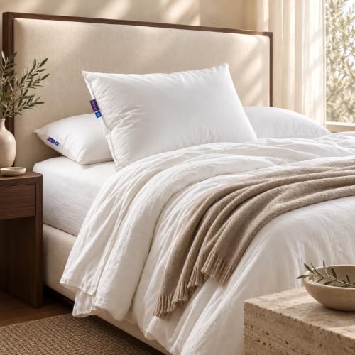 Lincove Cloud Natural Canadian Down Pillow, White Luxury Sleeping Pillow - 625 Fill Power, 500 Thread Count Cotton Shell, Made in Canada, King - Firm, 2 Pack - image 8