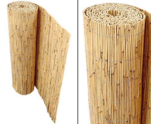 Bambus-Discount Niedrige Schilfrohrmatte Beach 80 x 600cm als Balkon Sichtschutz - Schilfmatte Premium 0,8 x 6m Made in EU