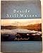 Beside Still Waters Daily Devotional Leather bound