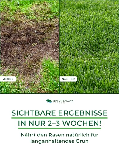 Bio-Rasendünger für den Sommer – TESTSIEGER, Made in Germany – 2,5 kg für 100 m² – Organische Nährstoffe für gesunden Boden und sattgrünes Rasenbild von Natureflow Garden 3