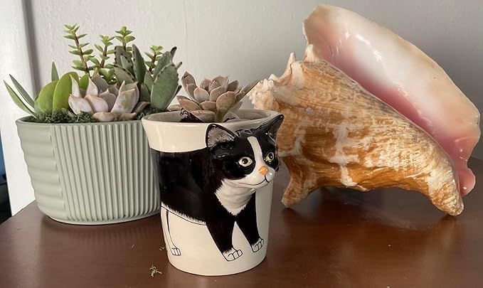 Black Tuxedo Cat Coffee Mug & Mini Planter Pot – Ceramic Coffee Cup with 3D Cat Head Handle, Multi-Use Cute Novelty Tea Mug, Pencil Holder – Gift for Cats Lovers & Office Decor by SassyXpressions - Image 4