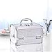Joligrace Makeup Box Cosmetic Train Case Jewelry Organizer Lockable with Keys and Mirror 2-Tier Tray Portable Carrying with Handle Travel Storage (Classic Silver)