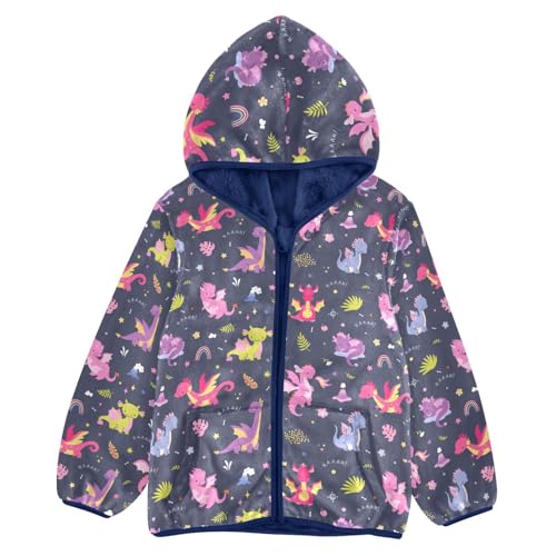 Boys' Fleece Hoody Jacket Zip Up Coat Warm Fall Winter Plush Jacket Cute Dragon Long Sleeve Outerwear