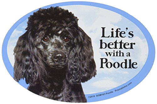 Imán decorativo de gato y perro Poodle negro