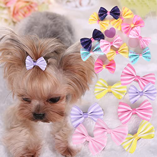Amazon.ca Best Sellers The most popular items in Dog Hair Accessories