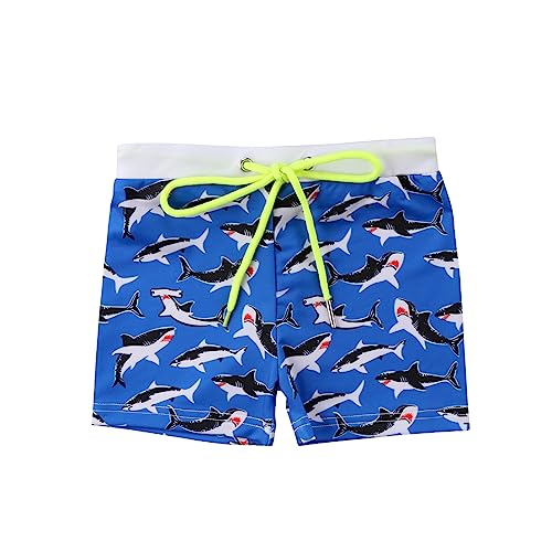 Toddler Boys Swim Trunks Swimming Shorts Summer Elastic Waist Beach Board Shorts Bathing Suit Swimwear