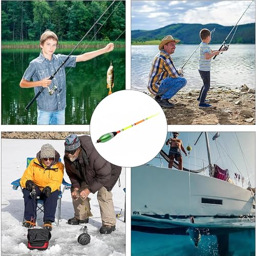 PRO Filstar Top Float Waggler zestaw 4 + 1 g 5 sztuk – zestaw spławików wędkarskich – spławik wędkarski – spławik wędkarski – spławik wędkarski – akcesoria wędkarskie – szczupaki, okonie, karpstrągi