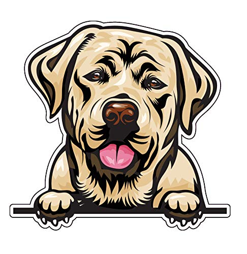 Pegatina de vinilo de laboratorio amarillo sonriente – Adhesivo de laboratorio para parachoques de raza de perros – para portátiles, vasos, ventanas, coches, camiones, paredes
