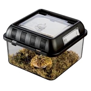 Exo Terra Breeding Box, broedbox, stapelbaar kweekterrarium, S, 20,5 x 20,5 x 15 cm