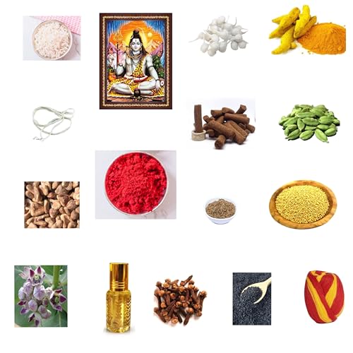 Shiv Pooja Samagri Set -17 items combo, Worship Essentials For Lo...