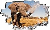 Elefant Elephant Afrika Savanne Safari Wandtattoo Wandsticker Wandaufkleber C0127 Größe 120 cm x 180 cm