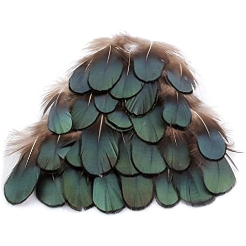 Butterme 50 Pcs Pheasant Feathers, Green Bronze Lady Amherst Iridescent Tippet Plumage Feathers for Home Garden Decoration DIY Hair Accessory Cover