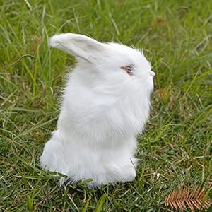 Packof2easterrabbitsfigurinesminifurrybunniesforbasketbabyshowerkidsnewbornphotographprophomeshelfdeskdecorativestatuewhite Urban Country Home Decor Pack of 2 easter rabbits figurines mini furry bunnies for basketbaby shower kids newbornphotograph prophome shelf desk decorative statue white urban country home decor