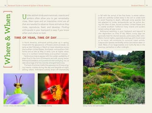 National Geographic Backyard Guide to Insects and Spiders of North America (National Geographic Backyard Guides) - Image 3