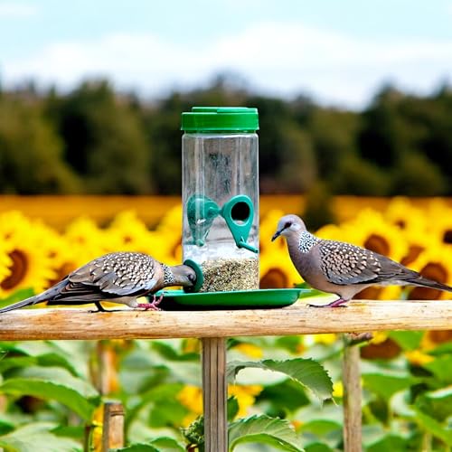 Image of Large Bird Feeder I Hanging Bird Feeder for Balcony I Outdoor Bird Food Feeder I 900 Capacity I Premium Hard Plastic Weatherproof, Attracting for Wild Birds (Green, Pack of 10 Pcs)