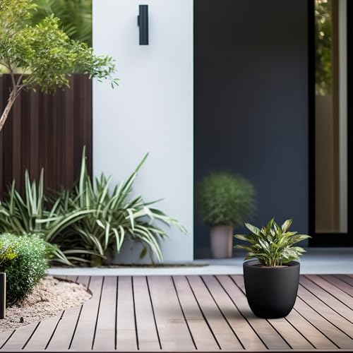 Image of Kante Small Round Bowl Black Concrete Planter 10 inch Dia, Outdoor