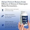 NatureCity True-Osteo Plus Bone Support with Ashwagandha for Strength & Density Plant-Based Calcium with Organic AlgaeCal, Magnesium, Vitamin D3, K2, Silicon & Stress Support | 120 Veggie Capsules