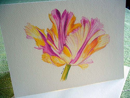 Blank Watercolor Note Cards With Envelopes – Parrot Tulip set of 6