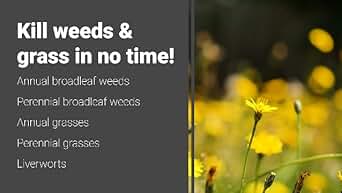Amazon.com : Nature's Avenger Organic Weed Killer Concentrate ...