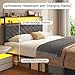 Fluest Queen Bed Frame with 2 Drawers, Upholstered Headboard with Storage and Charging Station, LED Lights, Fabric Drawers with Wheels, Under Bed Storage, No Box Spring Needed, Easy Assembly, Grey