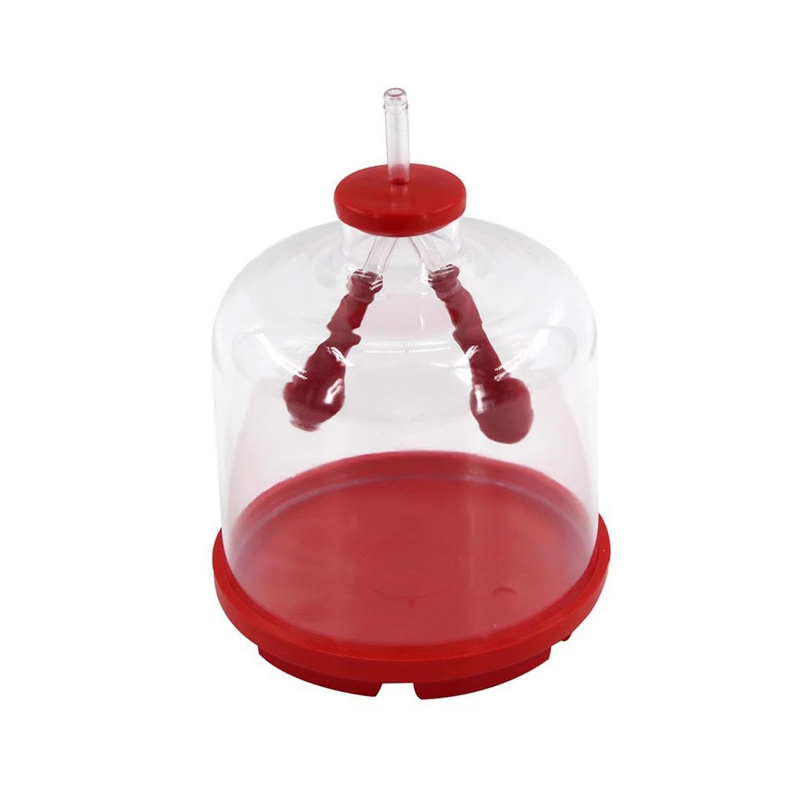Aide pédagogique des poumons pour simplifier les cours de SVT difficiles - 8