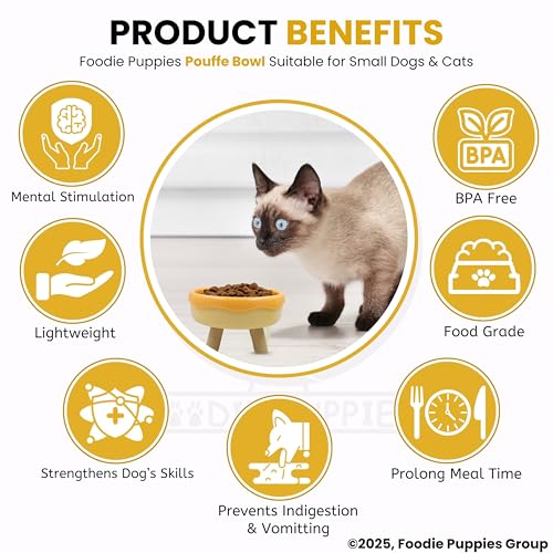 Image of Foodie Puppies Cat Food and Water Feeder - 250ml (Pouffe Bowl) | Durable and Anti Vomiting Cat Bowl for Persian Cat Prevent Tipping Over | Elevated Feeder for Cats and Small Dogs