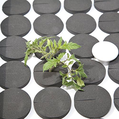 CLONE KING 64 Site White Replacement Lid