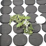 CLONE KING 64 Site White Replacement Lid