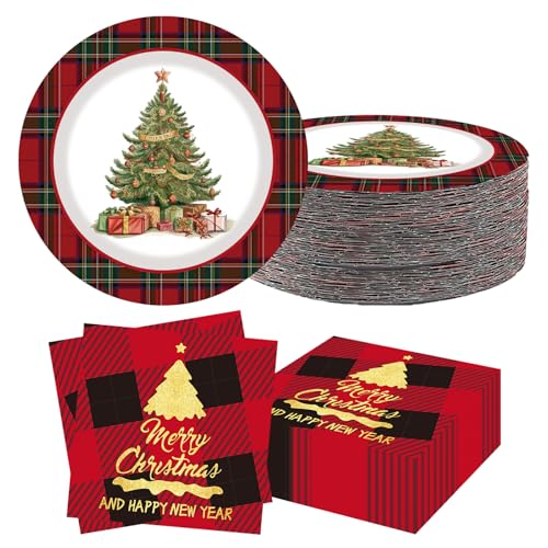 40 PCS Christmas Plates Dinner Set, Christmas Paper Plates and Napkins Set, Xmas Tree Tartan Paper Tableware for Xmas Dinner, Dessert, Decorations, Party Supplies