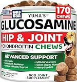 Glucosamine for Dogs - Hip and Joint Supplement for Dogs - 170 Ct - Glucosamine Chondroitin Chews - Joint Pain Relief Supplement with MSM - Advanced Health - Mobility Support - Made in USA