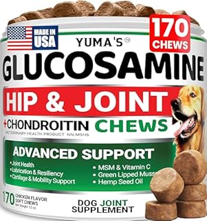 Glucosamine for Dogs - Hip and Joint Supplement for Dogs - 170 Ct - Glucosamine Chondroitin Chews - Joint Pain Relief Supplement with MSM - Advanced Health - Mobility Support - Made in USA