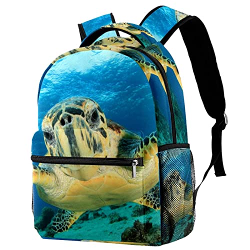Mochila escolar universitaria Tortuga ideal para campus y escapadas