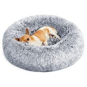 FEANDREA Cama de Perros, Cama para Mascotas, Cojín Central Extraíble y Lavable, Alfombra de Felpa Suave y Mullida, 60 cm de Diámetro, Gris PGW038G01