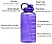 Venture Pal Large 1 Gallon/128 OZ (When Full) Motivational BPA Free Leakproof Water Bottle with Straw & Time Marker Perfect for Fitness Gym Camping Outdoor Sports-Purple