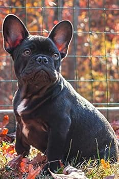 French Bulldogs Dog Pup Puppy Doggie Notebook Bullet Journal Diary Composition Book Notepad - On The Meadow: Cute Animal Pet Owner Composition Book ... Quad Ruled Graph Paper Pages in 6” x 9” Inch