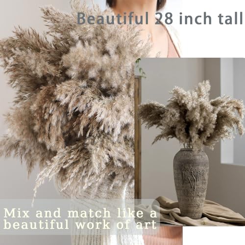 Image of 30 Stems 28 inch inch Fluffy Brown Pampas Grass Decor Tall - Natural Dried Pampas Grass, Large Pompas Grass, Dry Pampas Bulk for Living Room Decor, Boho Home Decor , Wedding Decor , Gift( 30 Brown )