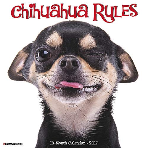 Chihuahua Rules 2017 Wall Calendar