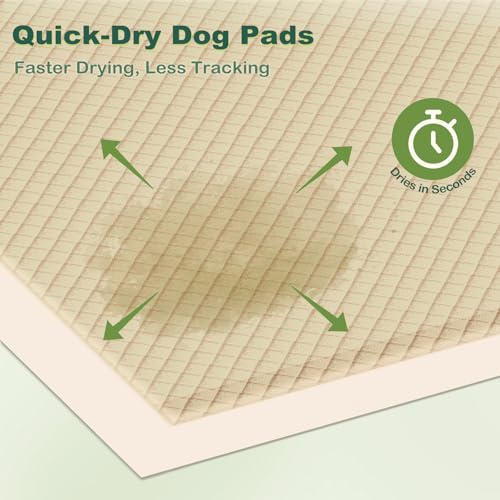 Image of MIZOK Puppy Pads Small 22x22 Pee Pads for Dogs Bamboo Odor Eliminating & 6-Layer Absorbent Leak-Proof Dog Pee Pads Potty Training with Adhesive Tabs, Disposable (50 Counts)
