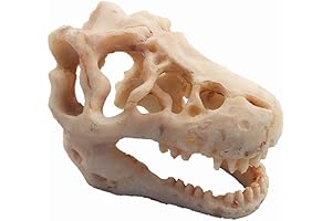 Dinosaur Skull Aquarium Decor