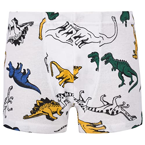Cczmfeas Boys Toddler Dinosaur Cotton Underwear Boxer Briefs 6 Pack4