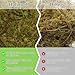 Halatool 9OZ Natural Sphagnum Moss for Reptiles- 14QT Green Live Moss for Terrarium Plants Long Fiber Reptile Moss for Leopard Gecko Snake Hamsters Tortoises Frogs Lizards Salamanders