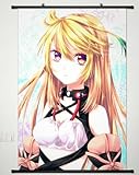 Wall Scroll Poster Fabric Painting For Tales of Xillia Milla Maxwell 009 L