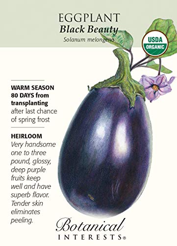 Eggplant Black Beauty Certified Organic Heirloom Seeds 75 Seeds Eggplant Black Beauty Certified Organic Heirloom Seeds 75 Seeds