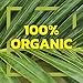 Native Forest Organic Young Jackfruit - Great Meatless Alternative, Plant Based Meat, Non-GMO Project Verified, USDA Organic - Original, 14 Oz (Pack of 6)