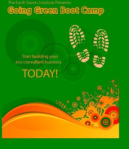 Going Green Boot Camp: Volume 2 (English Edition)
