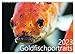 Produktbild Goldfischportraits (Wandkalender 2023 DIN A3 quer), Calvendo Monatskalender