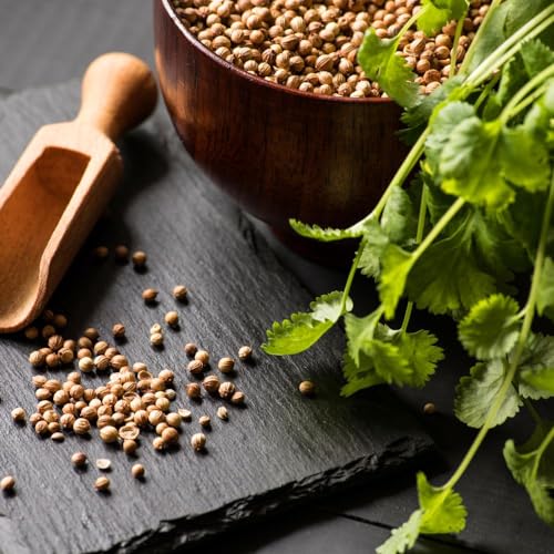 Coentro em Pó Orgânico Kampo de Ervas 50g