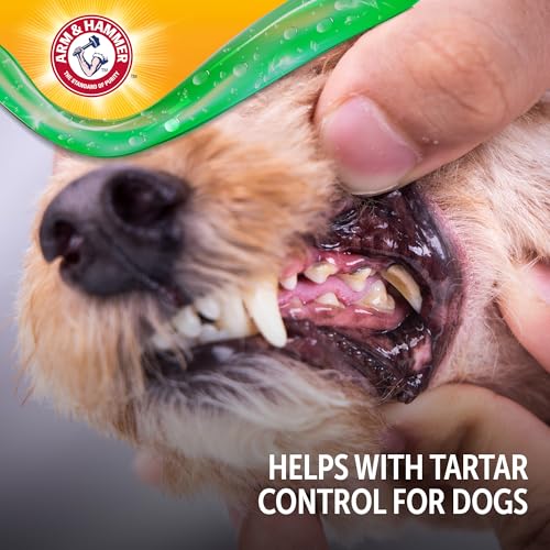 Image of Arm & Hammer Complete Care Dental Gel Dog Toothbrush Kit, Includes Gel Toothpaste, Toothbrush, and Finger Brush, Baking Soda Enhanced, Fluoride Free, Chicken Flavor, 2.5 Oz